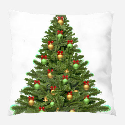 Canvas Outdoor Reversible Throw Pillow