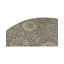 Ziegler Hand Woven Wool Oriental Area Rug