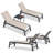 Lanece Outdoor Rust-Resistant Metal Chaise Lounge Set with Table-238878810