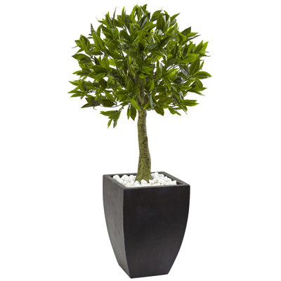 42 po Topiaire en feuille de laurier avec jardinière noire résistante aux rayons UV (intérieur / extérieur)