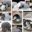 Lit rond pour chat-93925560-50510748