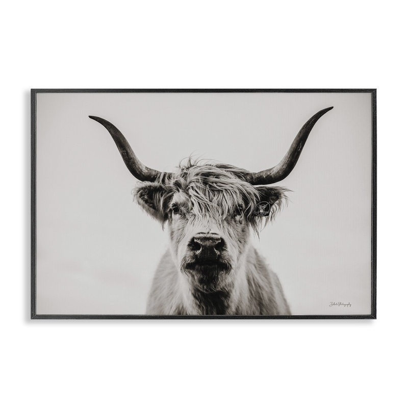 Portrait de bovins calmes, estampe numérique par Dakota Diener, Giclée encadrée noir minuit, H 12 po x l 18 po