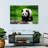 Crowle Strolling Panda-111979350