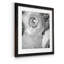Renoncule foncé IV - cadre photo-1179599674-1179620651-1179599675