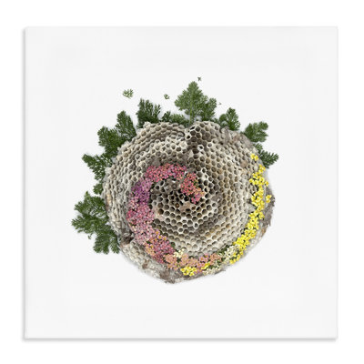 Nid d'abeille avec toile botanique, design par Beth Adoette