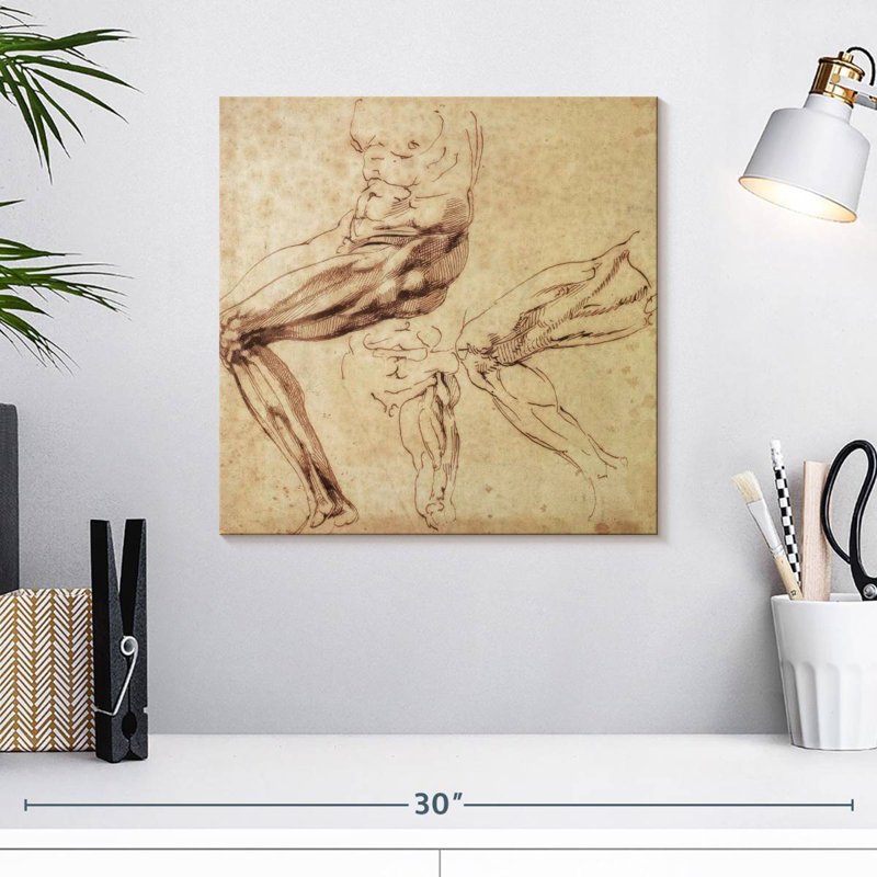 Trois études d'une patte, 16" H x 16" W