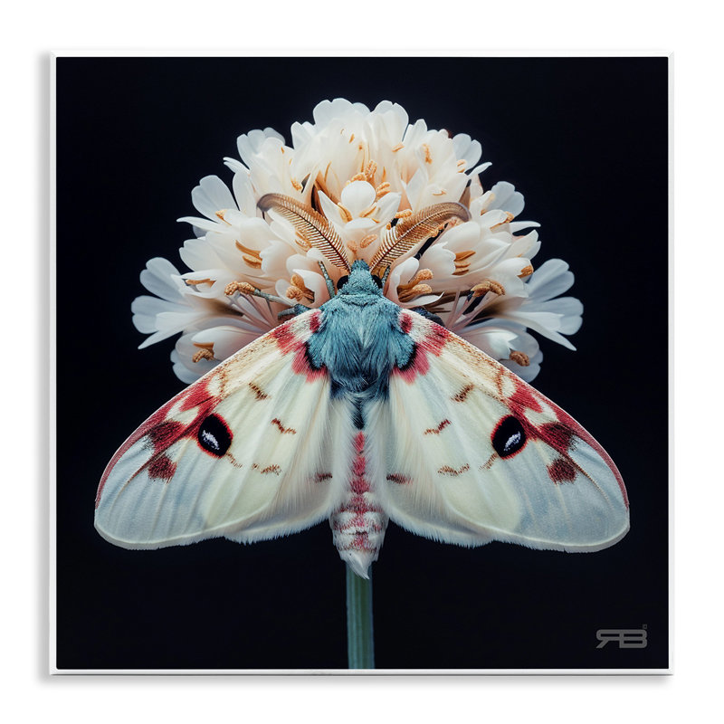 «Moth & White Flowers» par Roozbeh Bahramali