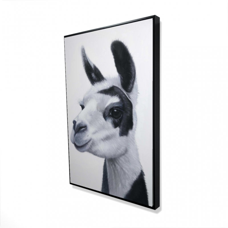 " Black & White Lama ", 36" H x 24" W