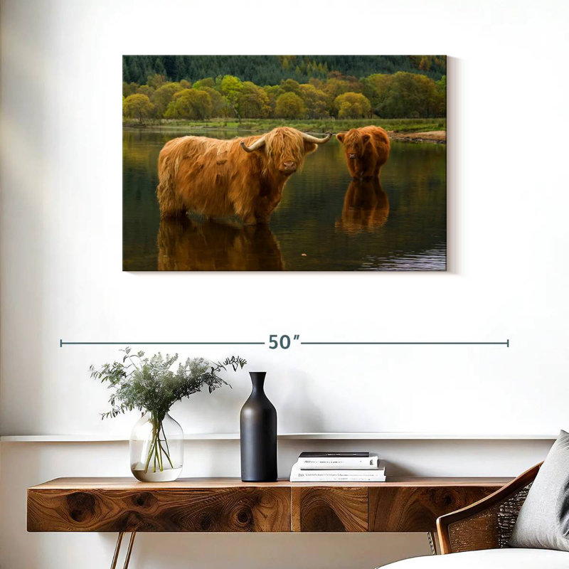 Brampt Bathing Highland Cow, H 24 po x l 36 po