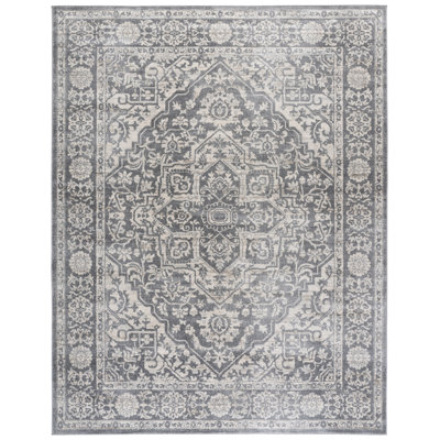 Oriental Light Gray/Ivory Area Rug