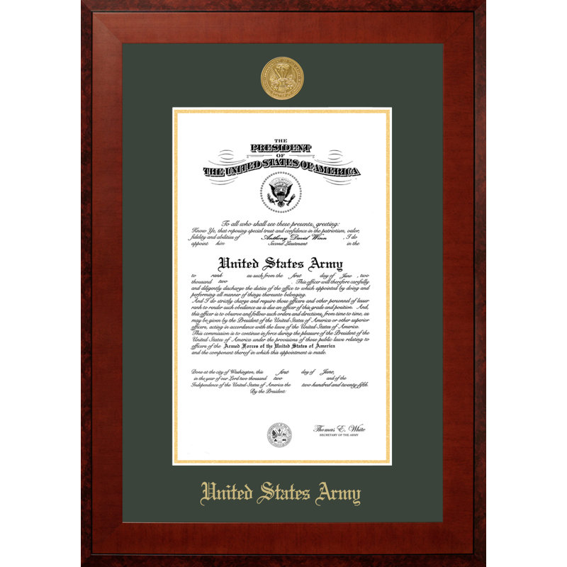 Army Certificate Honors Picture Frame, 11" x 14", Brown/Dark Green