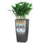 Cubico Planter Box-1342088422-1342088425
