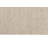 Saail Indoor Rug-833624620