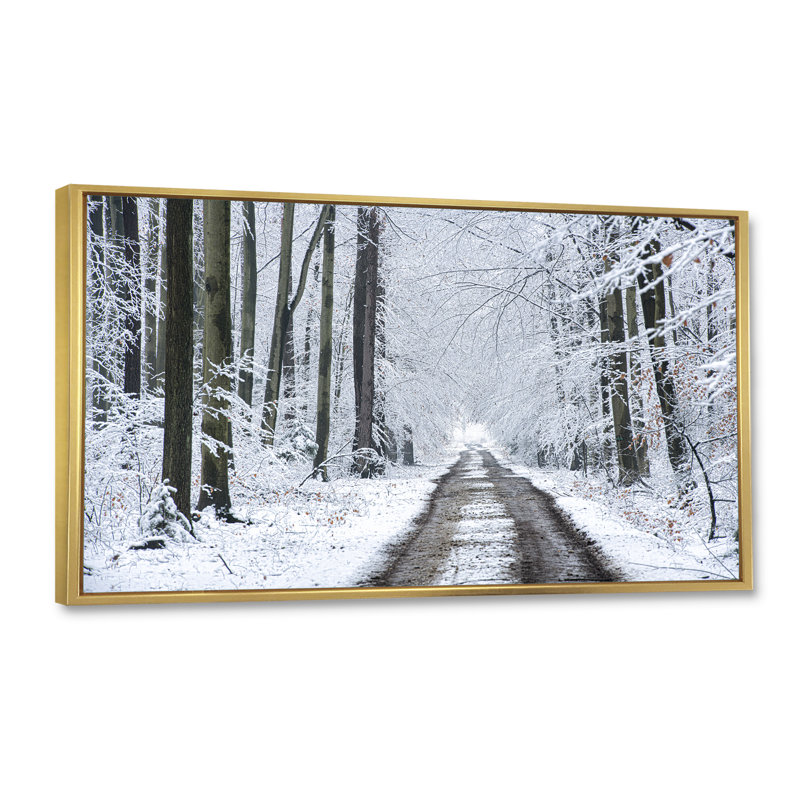Route d'hiver dans la forêt enneigée - Photographie sur toile, H 16 po x l 32 po x P 1 po, Cadre doré
