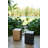 Side Table Rangi
