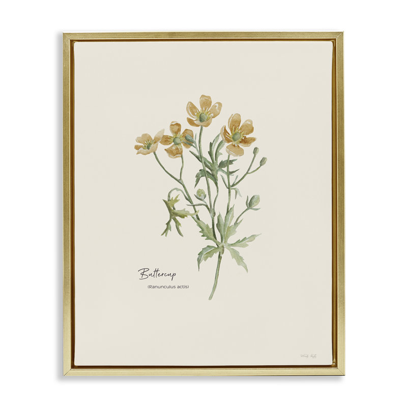 «Simple Buttercup Flowers» par Cindy Jacobs, H 31 po x l 25 po, Cadre flottant métallique doré