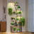 Elvia Plant Stand-1325809110