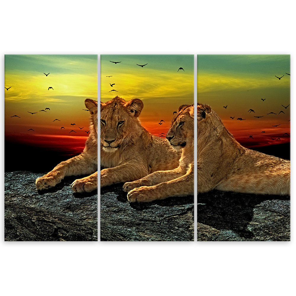 Leinwandbild Lion Savanna Africa Nature