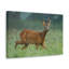 No Frame Print on Canvas