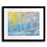 Autumn Aspen Grove Along Lakeshore Print by Bruce Heinemann
