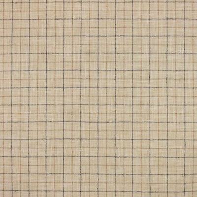 Mercer Check Fabric