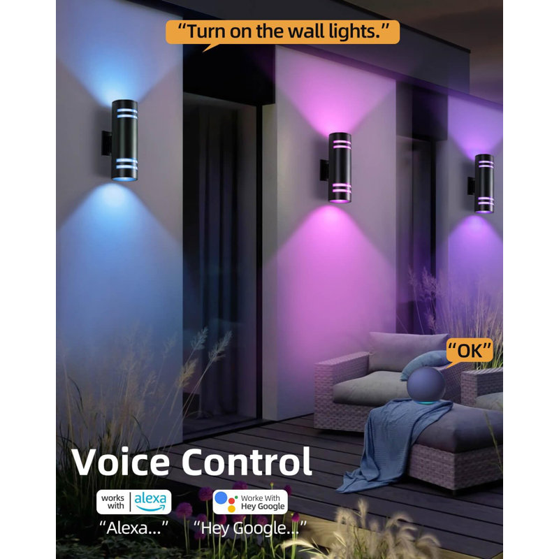 Smart Porch Light With RGBCW Color, Wifi App Control, Dusk To Dawn Sensor, Alexa & Google Assistant Compatible Outdoor Wall Sconce For Patio, Garage, And House