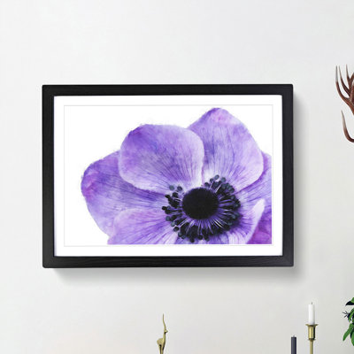 Purple Anemone Flower - Picture Frame Painting Print