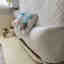 Customer photo 2 of 4
