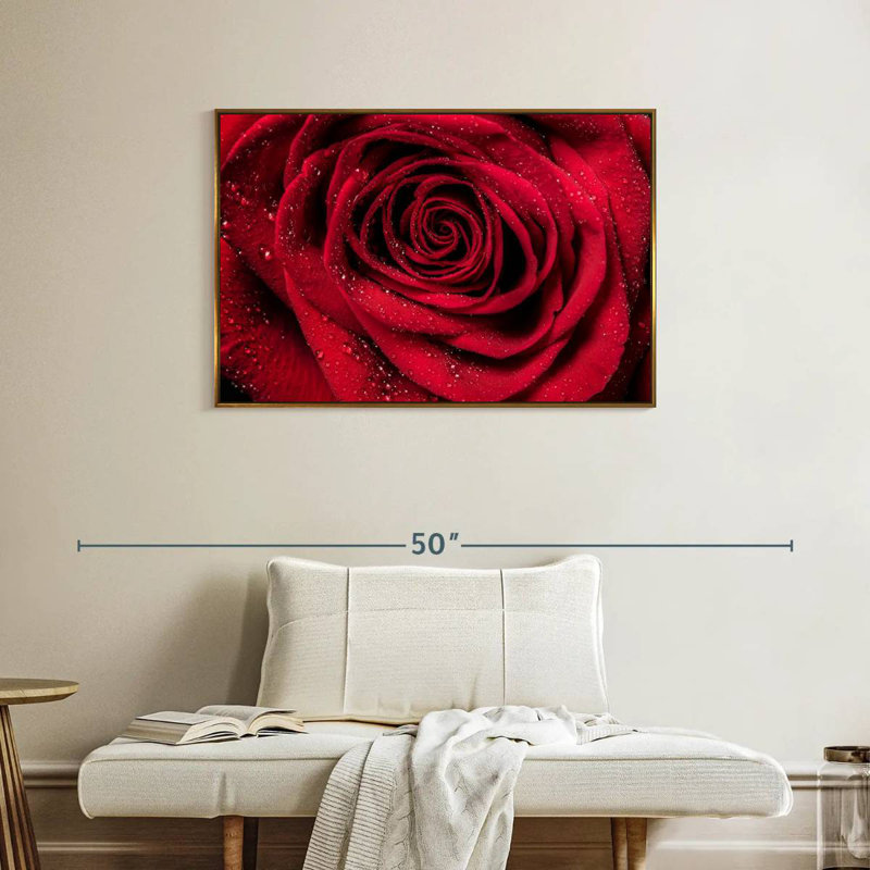Rosée rouge veloutée, Cadre flottant doré, 37 po x 25 po