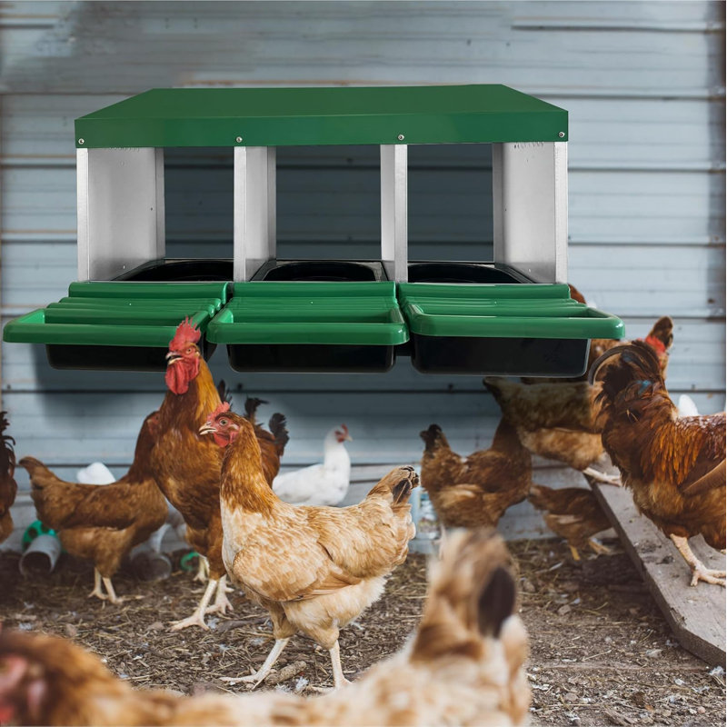 Boîtes de nidification pour poulets pour poulets, boîte de nidification en métal à 3 compartiments pour poulailler, collection Rollout Egg