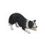 Statue de jardin Border Collie
