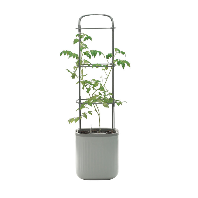 Mini Tomato Plastic Outdoor Pot Planter with Trellis, Fog Gray