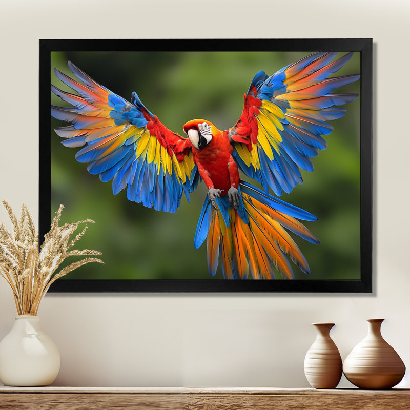 «Vibrant Macaw Flying Photo», art mural oiseau, H 24 po x l 32 po, Cadre simple, Noir