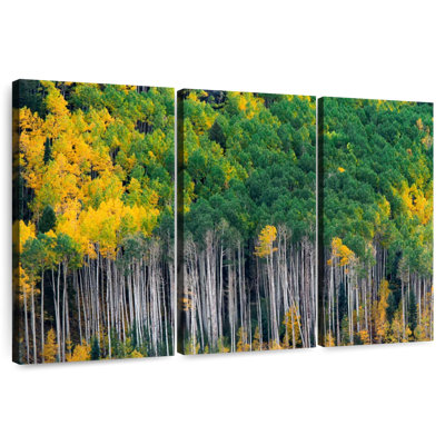 Alvord Colorado Autumn Aspen Trees