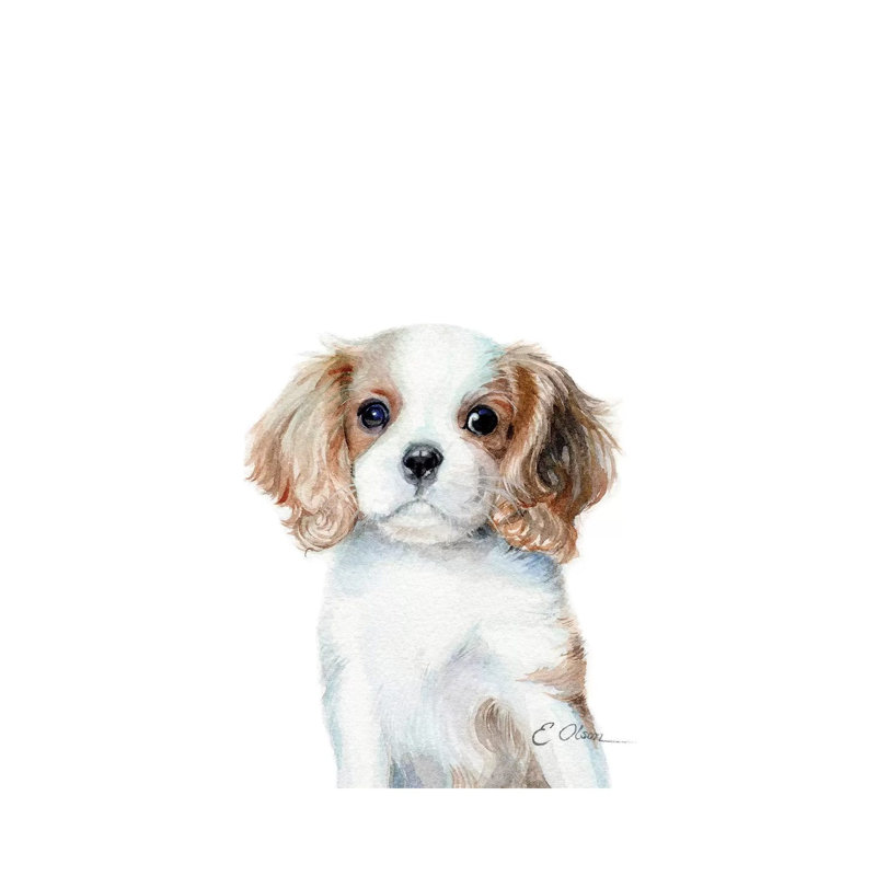 King Charles Cavalier Spaniel Puppy - Wrapped Canvas Print, 20.32 cm H x 30.48 cm W