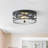 2-Lamp Circular Clear Glass Adjustable Iron Ceiling Light