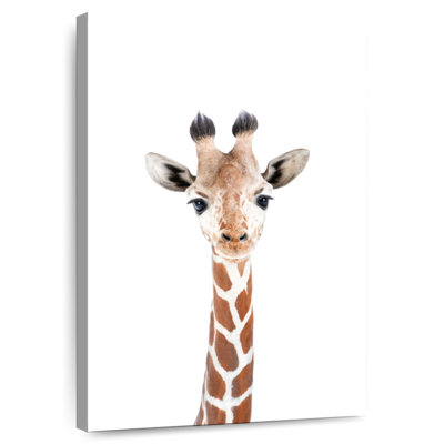 Brampt Adorable Baby Giraffe
