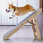 Collapsible Stairs With 4 Steps