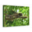 No Frame Print on Canvas-1322652049