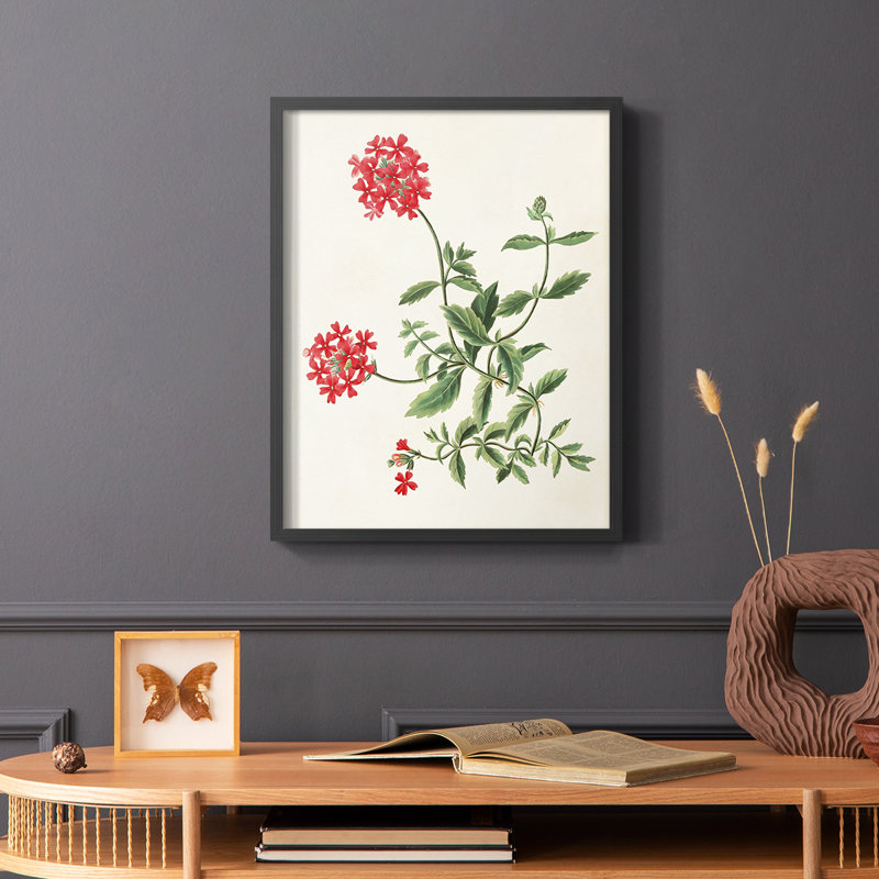 «Flowers of the Seasons», reproduction encadrée en bois massif, Noir, H 28 po x l 22 po