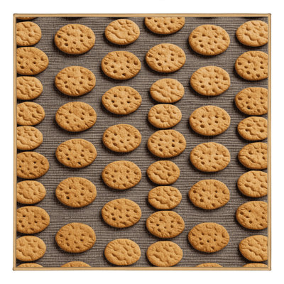  Washable Digestive biscuits Desserts Area Rug