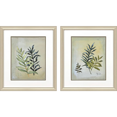 Ferns Aglow Framed Art