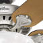 Ventilateur de plafond standard à 5 pales 52 po avec chaînette et ensemble d’éclairage inclus Buchanan-24742912
