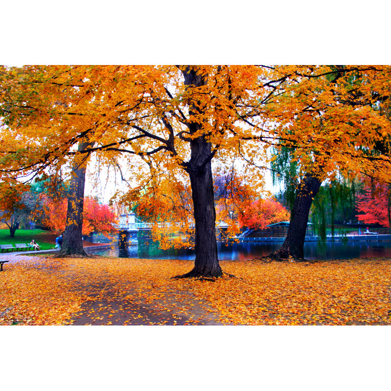 «Autumn in Boston Public Garden» par Coleong - Photographie sur toile tendue, L 48 po x H 32 po
