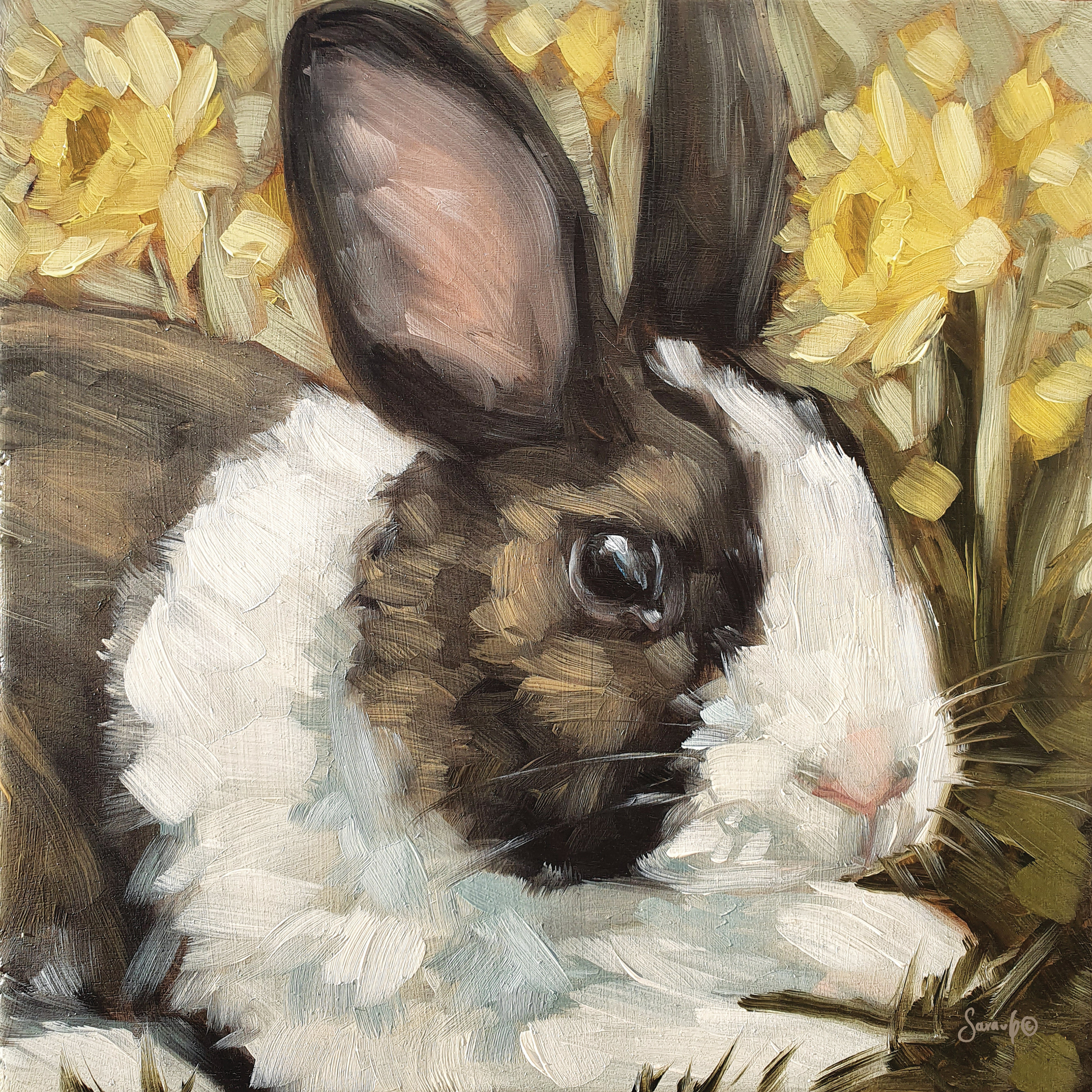 Buttercup On Canvas by Sara G. Designs Print