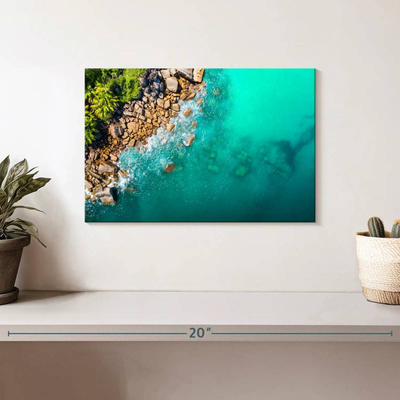 Gillard Seychelles Shark Gillard, 8" H x 12" W