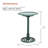 Plastic Pedestal Birdbath