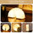 Paper Lamp