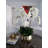 Roberi Arrangement in Pot-311770224-318745110