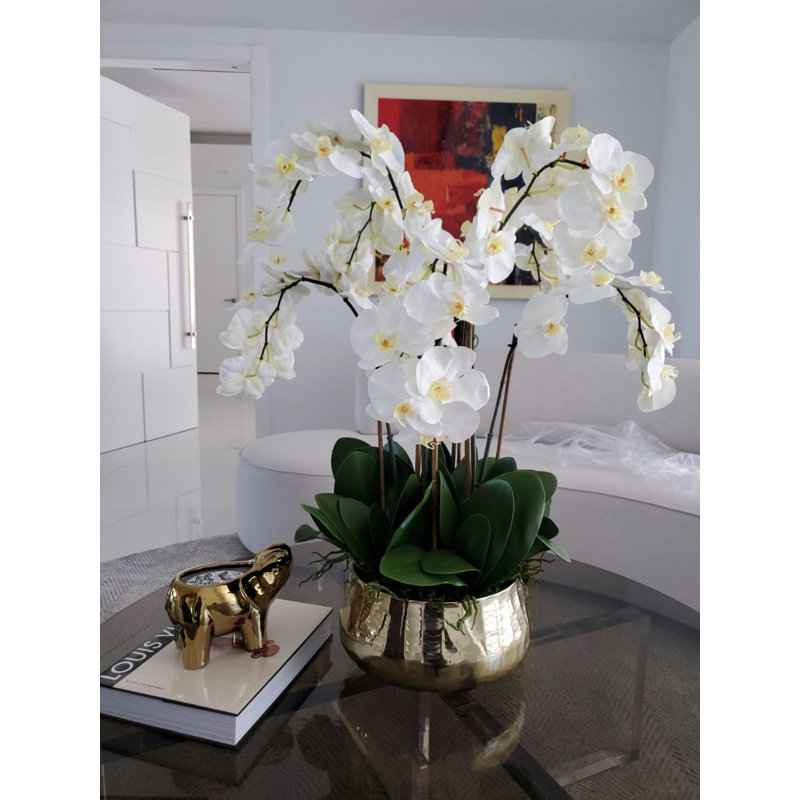 White Phalaenopsis Orchid Arrangement with Gold Planter, 28" Height